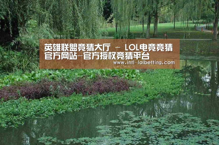案例展示一(图1)
