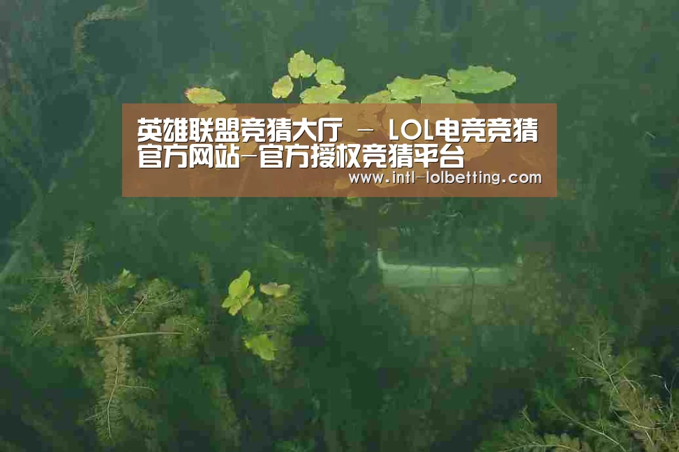 案例展示三(图1)