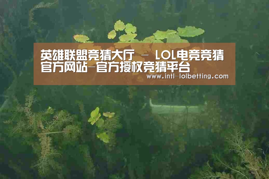 案例展示三
