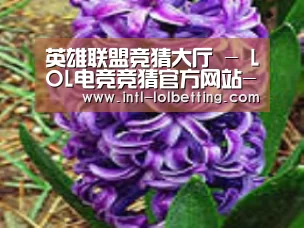 产品名称八