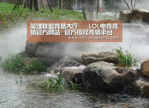 案例展示五