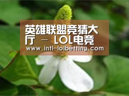 产品名称三