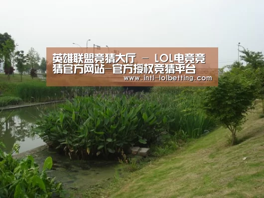 案例展示四