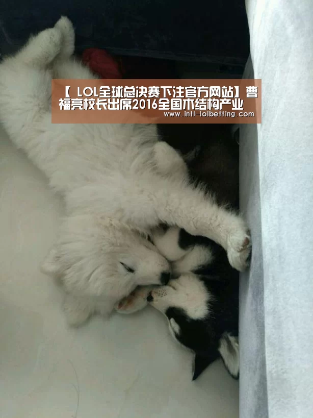 【 LOL全球总决赛下注官方网站】曹福亮校长出席2016全国木结构产业发展高峰论坛(图1) LOL全球总决赛下注官方网站
