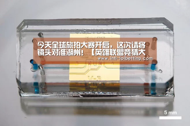 今天全球旅拍大赛开启,这次请将镜头对准湖州!【英雄联盟竞猜大厅 】(图2) LOL全球总决赛下注官方网站